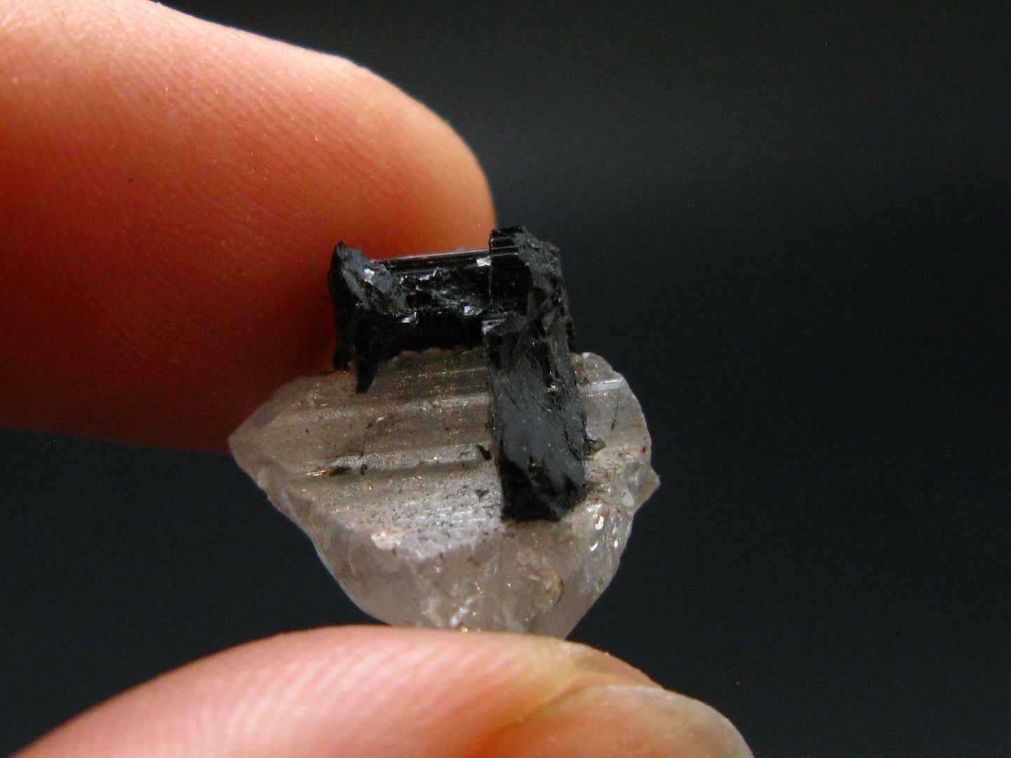 Phenakite Phenacite Crystal from Madagascar 11.15 Carats