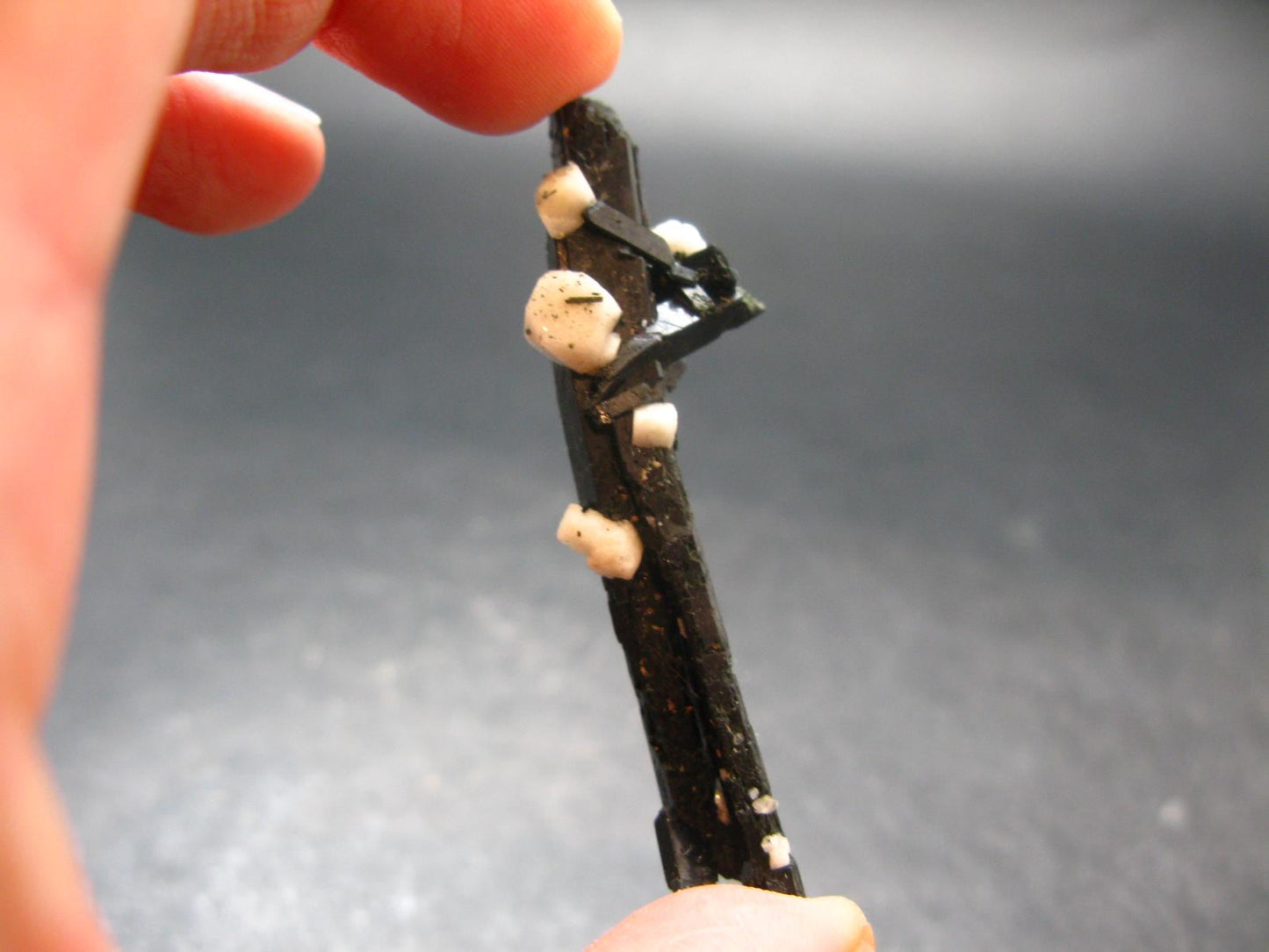 Aegirine Crystal From Malawi - 2.4"