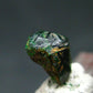 Rare Uvarovite Garnet Crystal from Outokumpu Finland - 1.85 Carats