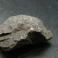 Rare Shammanite Shamanite Master Shamanite Raw Piece From USA - 1.4" - 15.52 Grams