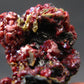 Rare Gem Proustite Cluster From Morocco - 1.4" - 12.42 Grams