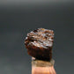 Rare Painite Crystal From Myanmar - 6.35 Carats