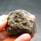 Brookite On Quartz Cluster From Arkansas - 36.46 Grams - 1.6"