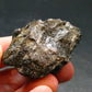 Rare Nuumite Nuummite Raw Piece From Greenland - 33.62 Grams - 1.8"