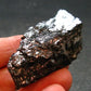 Elite Shungite Raw Piece from Russia - 1.7" - 16.72 Grams