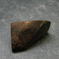 Rare Chondrite Stone Meteorite From Africa - 0.9" - 7.74 Grams