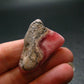 Rhodochrosite Stalactite From Argentina - 1.4" -12.00 Grams