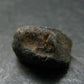 Rare Saffordite Cintamani Stone Pseudotektite Piece from Arizona USA - 12.20 Carats - 0.7"
