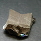 Ammolite Ammollite Fossil From Alberta Canada - 1.0" - 5.93 Grams