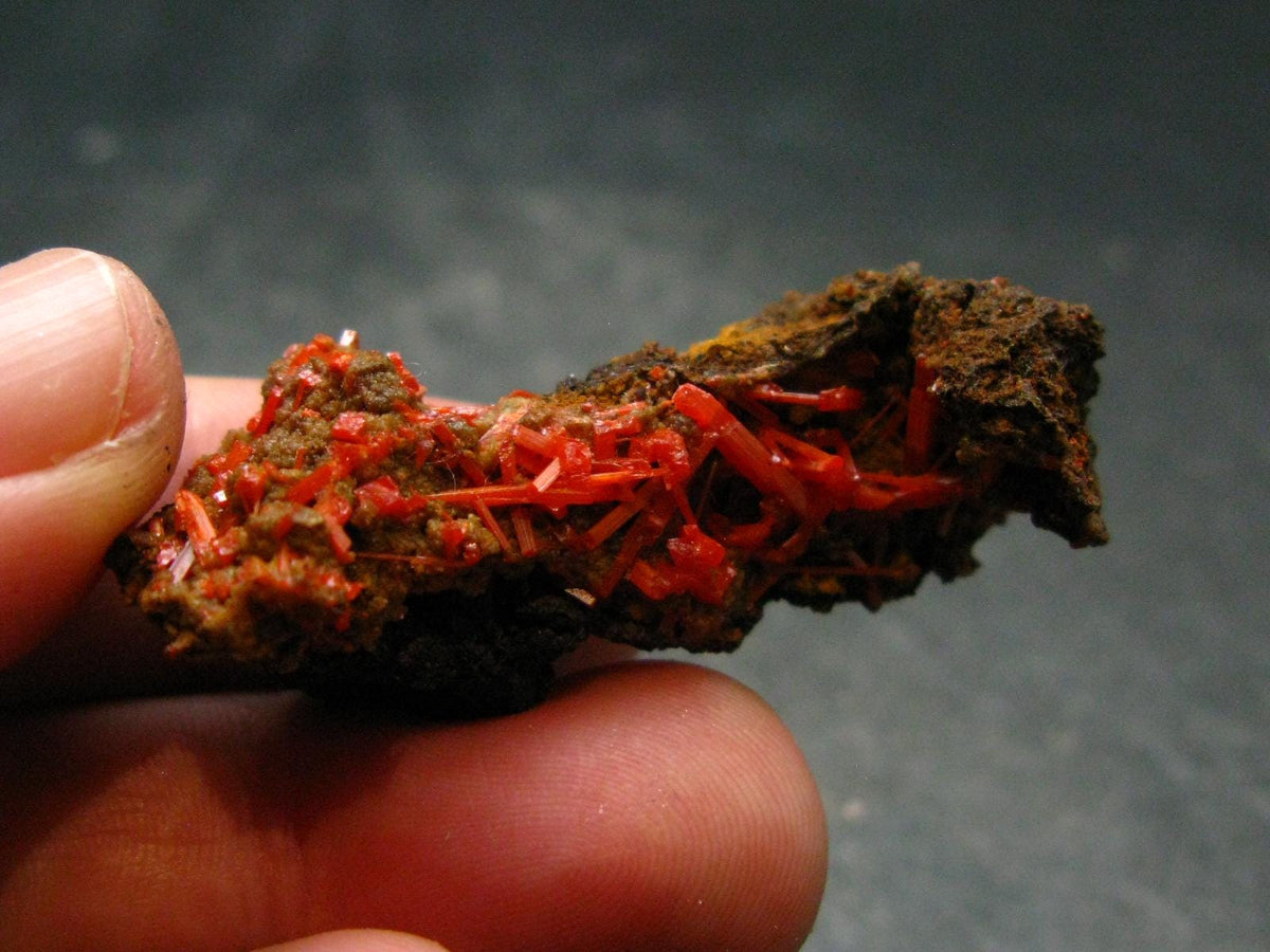 Rare Orange Crocoite Cluster From Australia - 1.7"- 7.48 Grams