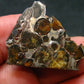 Large Sericho Meteorite Pallasite Olivine Slice From Kenya - 1.5" - 4.48 Grams