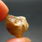 Rare Herderite Crystal from Brazil - 2.39 Grams - 0.6"