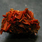 Rare Orange Crocoite Cluster From Australia - 1.4"- 11.0 Grams