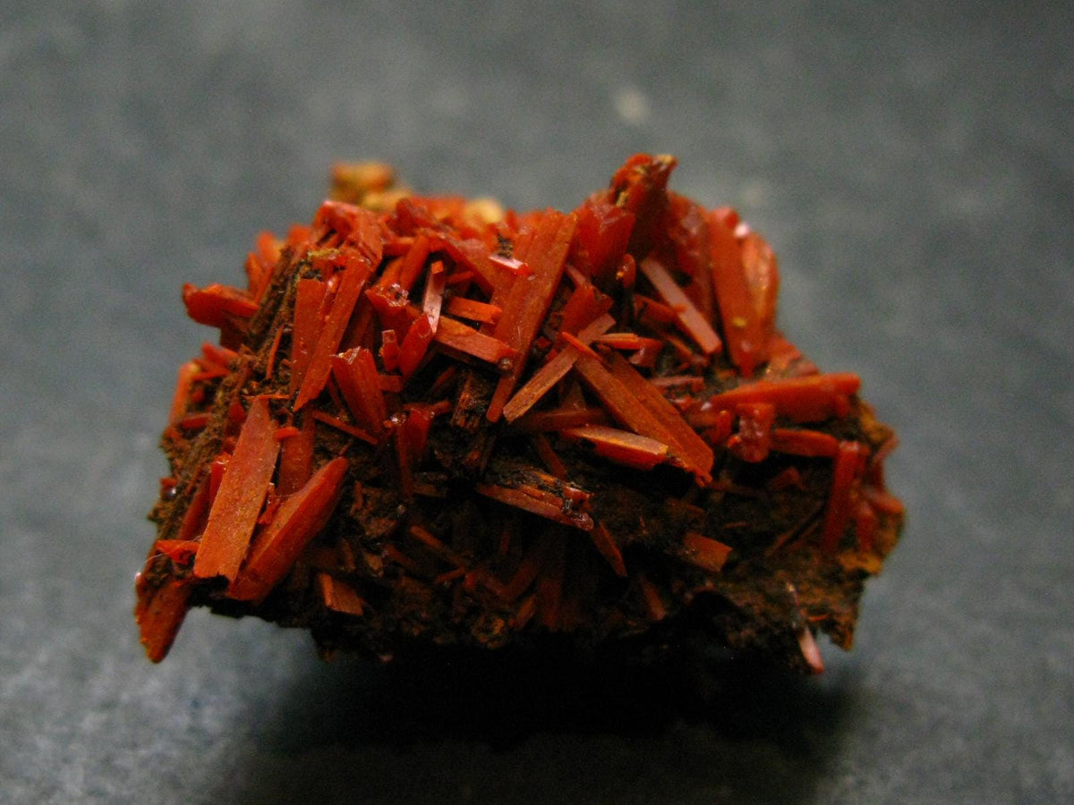 Rare Orange Crocoite Cluster From Australia - 1.4"- 11.0 Grams