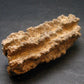 Large Fulgurite Lightning Rock From Sahara Desert - 3.2"