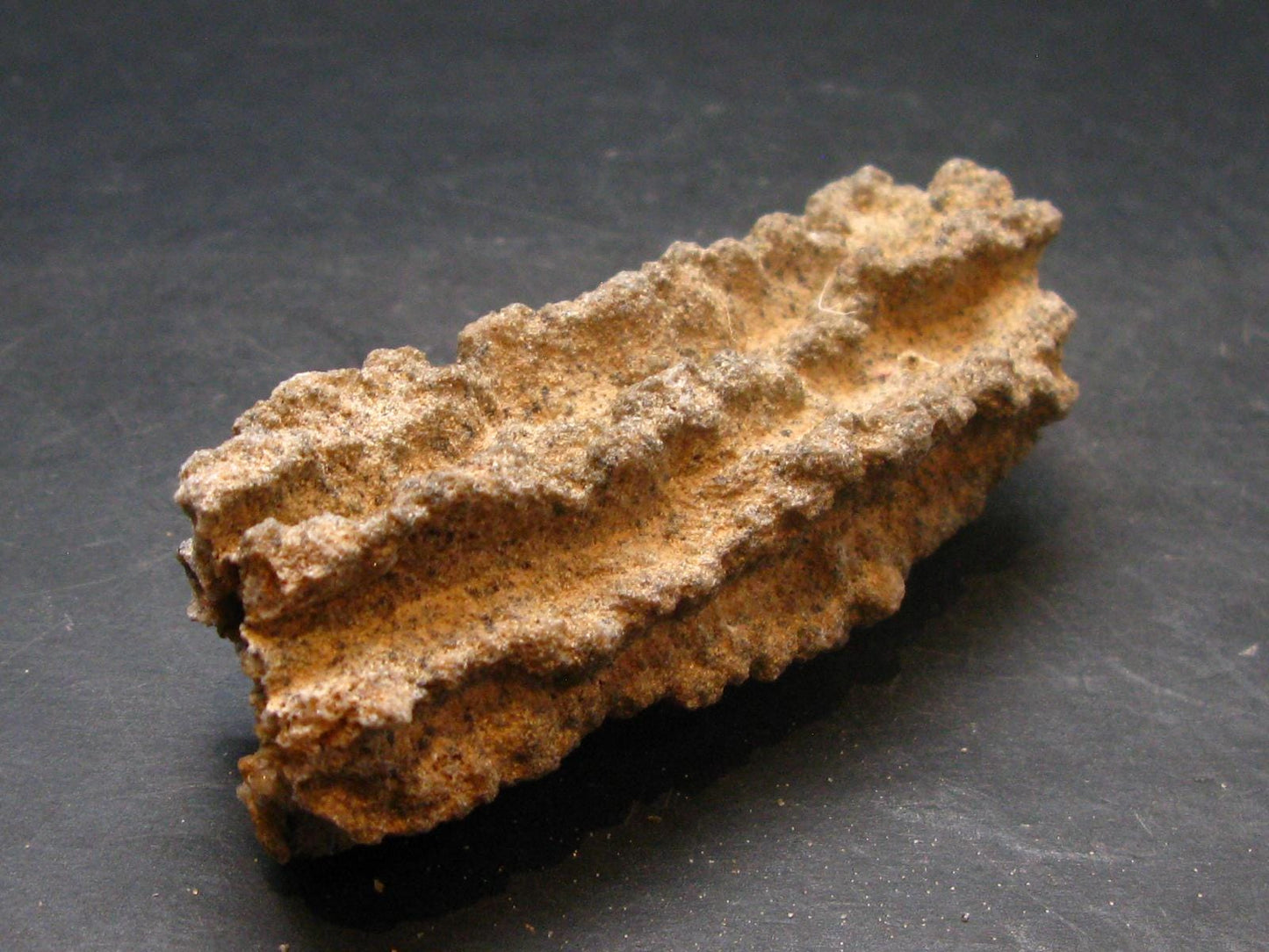 Large Fulgurite Lightning Rock From Sahara Desert - 3.2"