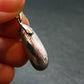 Muonionalusta Meteorite Silver Pendant from Sweden - 1.2" - 6.38 Grams