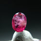 Beautiful Rare Gem Bixbite Red Beryl Emerald Cut Stone From Utah USA - 0.22 Carats - 4.8x3.3 mm