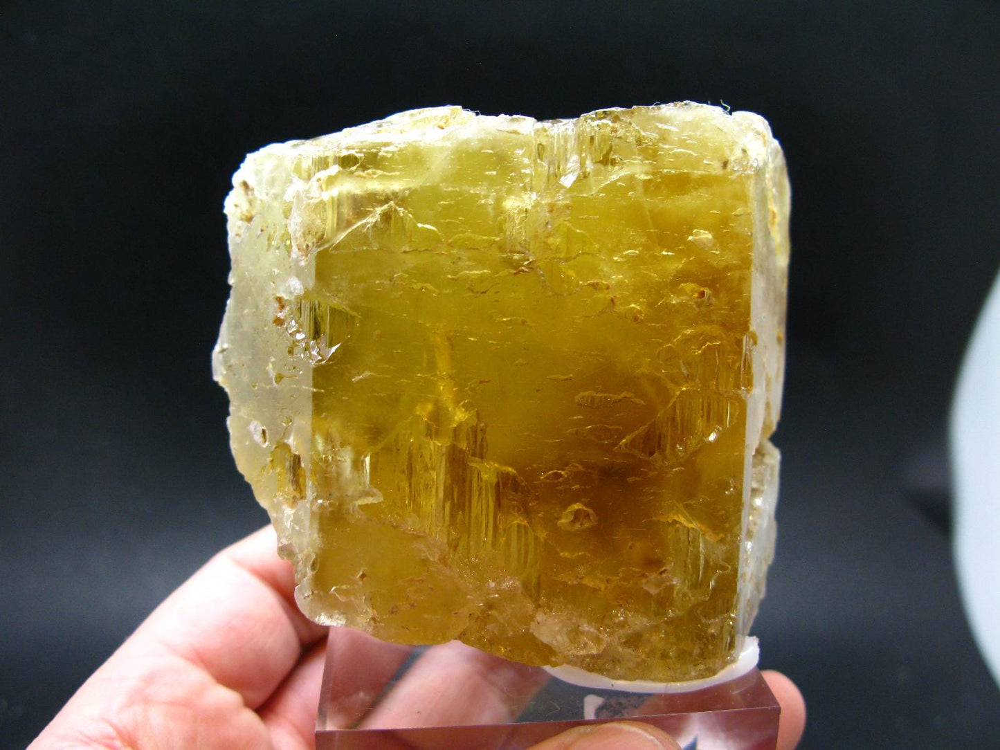 Heliodor (Yellow Beryl) Gem Crystal from Brazil - 548 Grams - 3.9"