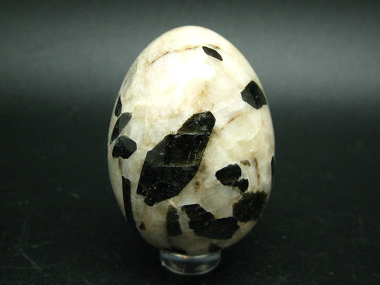 Canadian Treasure from the Earth!! Rare Black Fluoro-richterite Fluororichterite on White Calcite Egg From Ontario, Canada - 2.2"