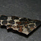 Large Sericho Meteorite Pallasite Olivine Slice From Kenya - 1.8" - 7.0 Grams