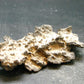 Large Fulgurite Lightning Rock From Sahara Desert - 3.2" - 16.0 Grams