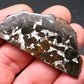 Large Brahin Meteorite Pallasite Olivine Slice From Belarus - 2.3" - 11.00 Grams