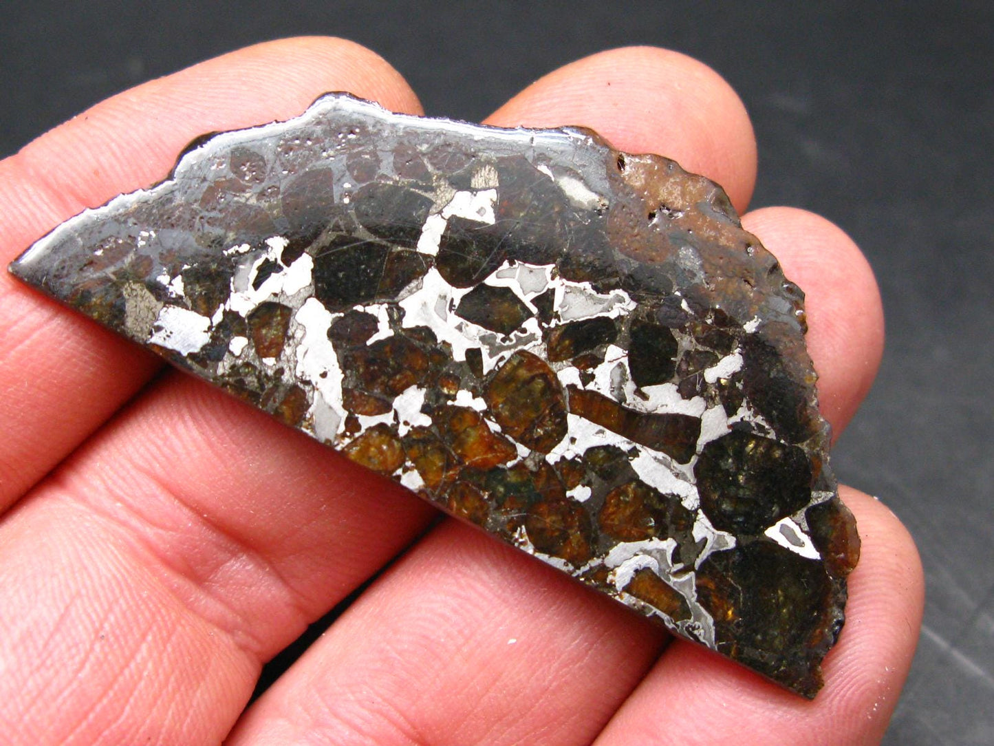 Large Brahin Meteorite Pallasite Olivine Slice From Belarus - 2.3" - 11.00 Grams