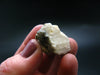 Phenakite Phenacite Raw Crystal From Brazil - 58.55 Carats - 0.9"