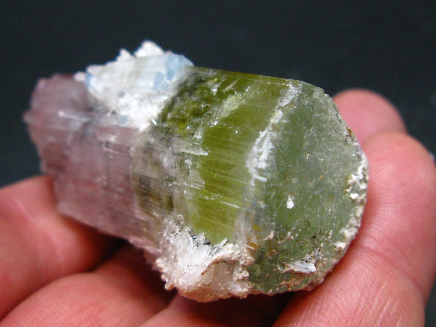 Rare Watermelon Tourmaline Crystal From Pakistan - 2.3" - 56 Grams