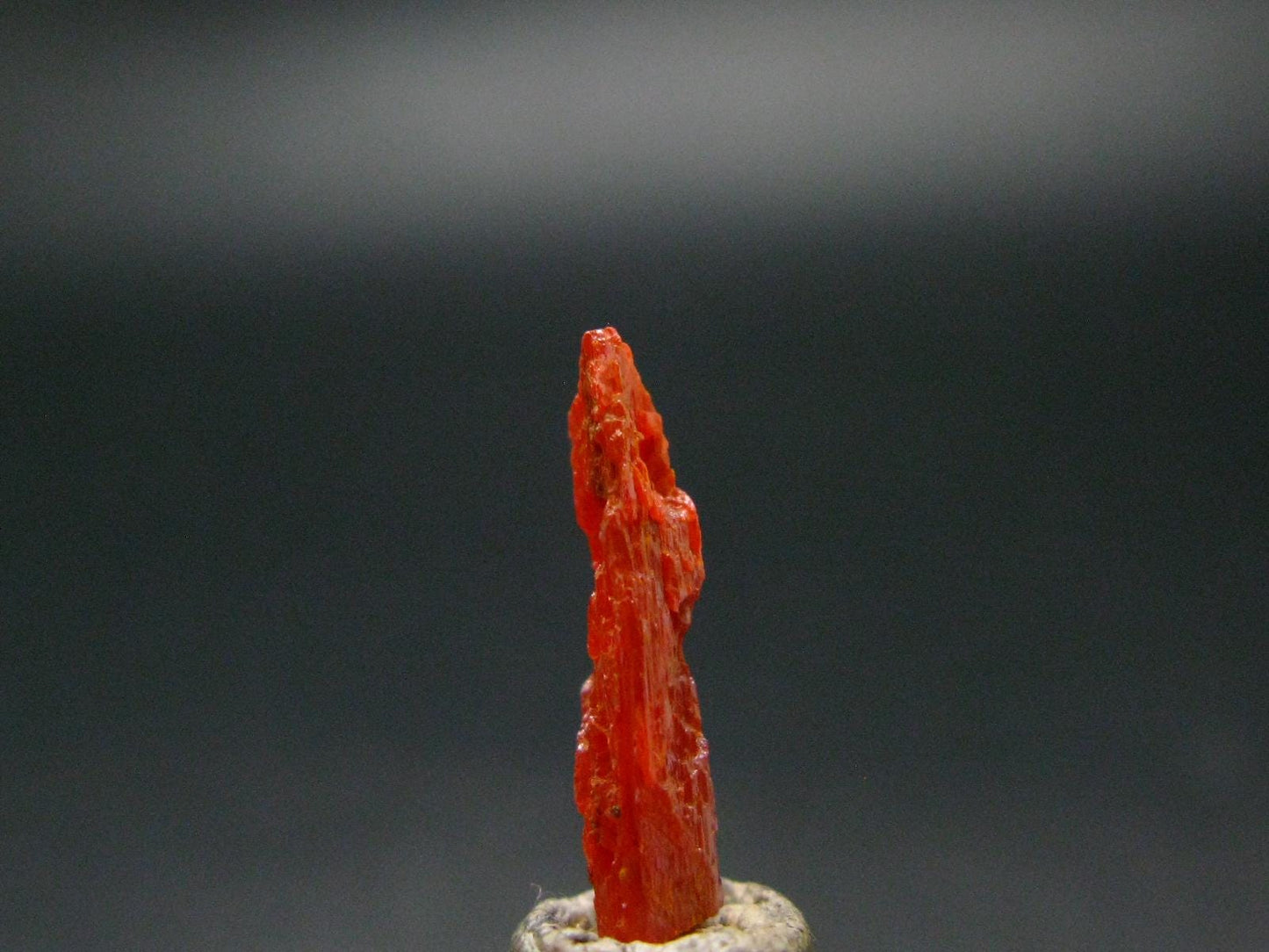 Large Orange Crocoite Crystal From Australia - 0.7" - 5.40 Carats