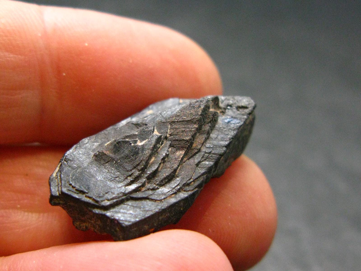 Columbite Crystal From Brazil - 0.9" - 5.32 Grams