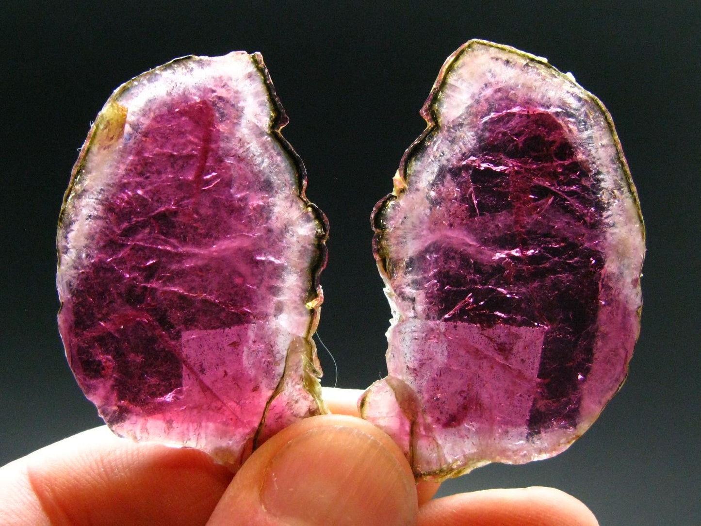 Rare Pink Tourmaline Crystal Slice Pair From Brazil - 87 Carats Total