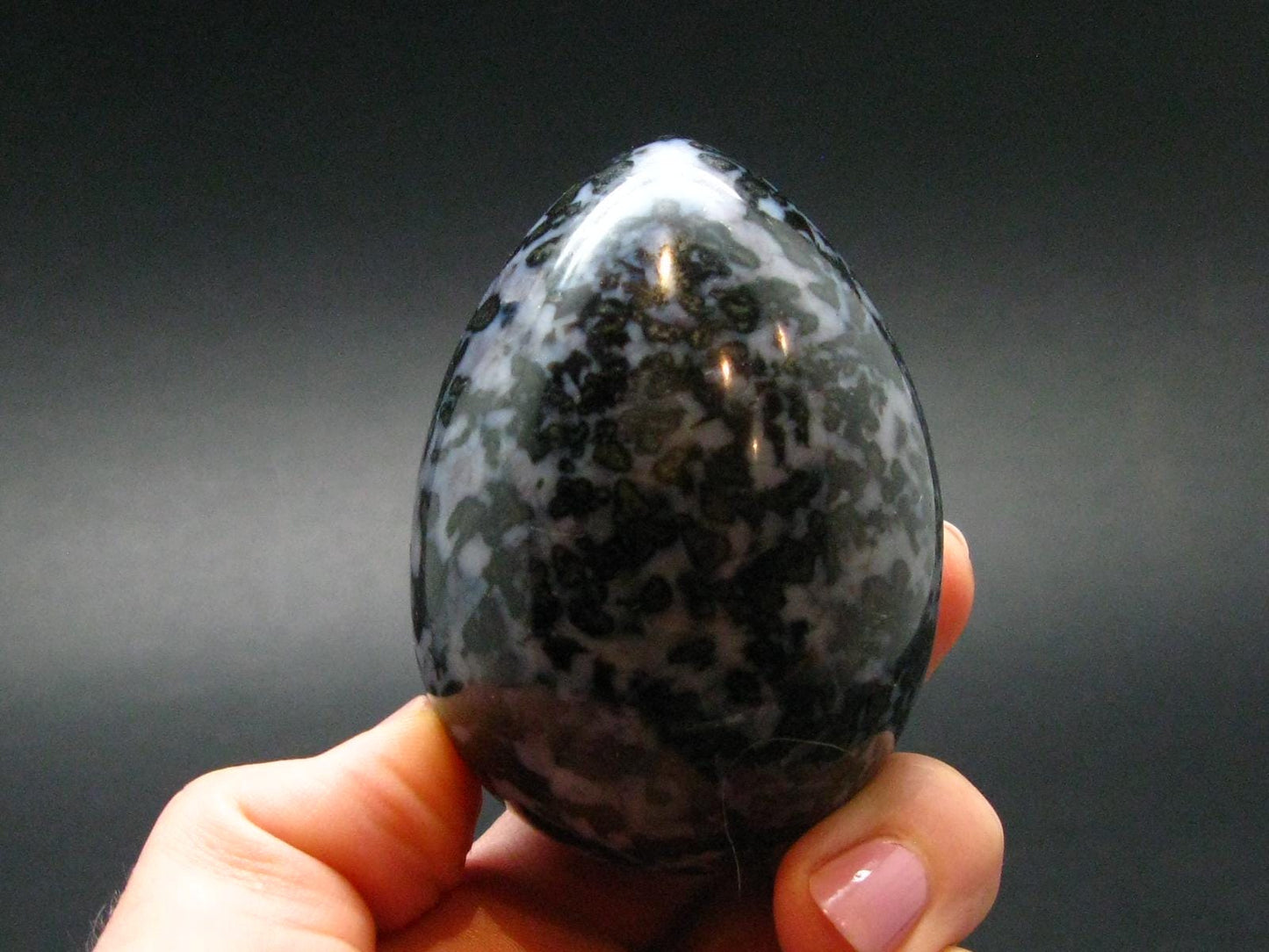 Rare Gabbro Mystic Merlinite Egg from Indian Ocean - 2.5" - 220.78 Grams