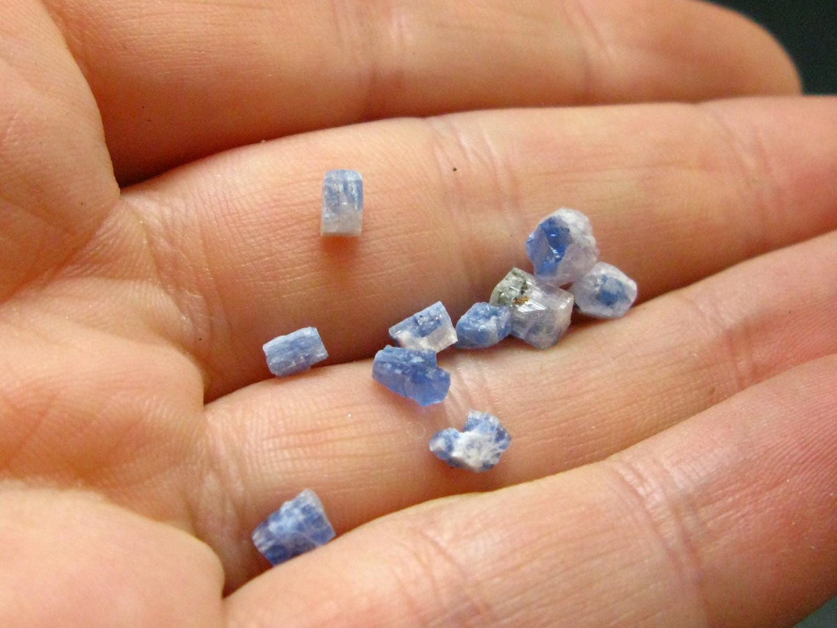Fine Lot of 10 Carletonite Crystals From Mt. St. Hilaire Canada - 0.53 Grams