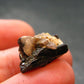 Mangano Tantalite Crystal From Brazil - 0.6" - 21.50 Carats
