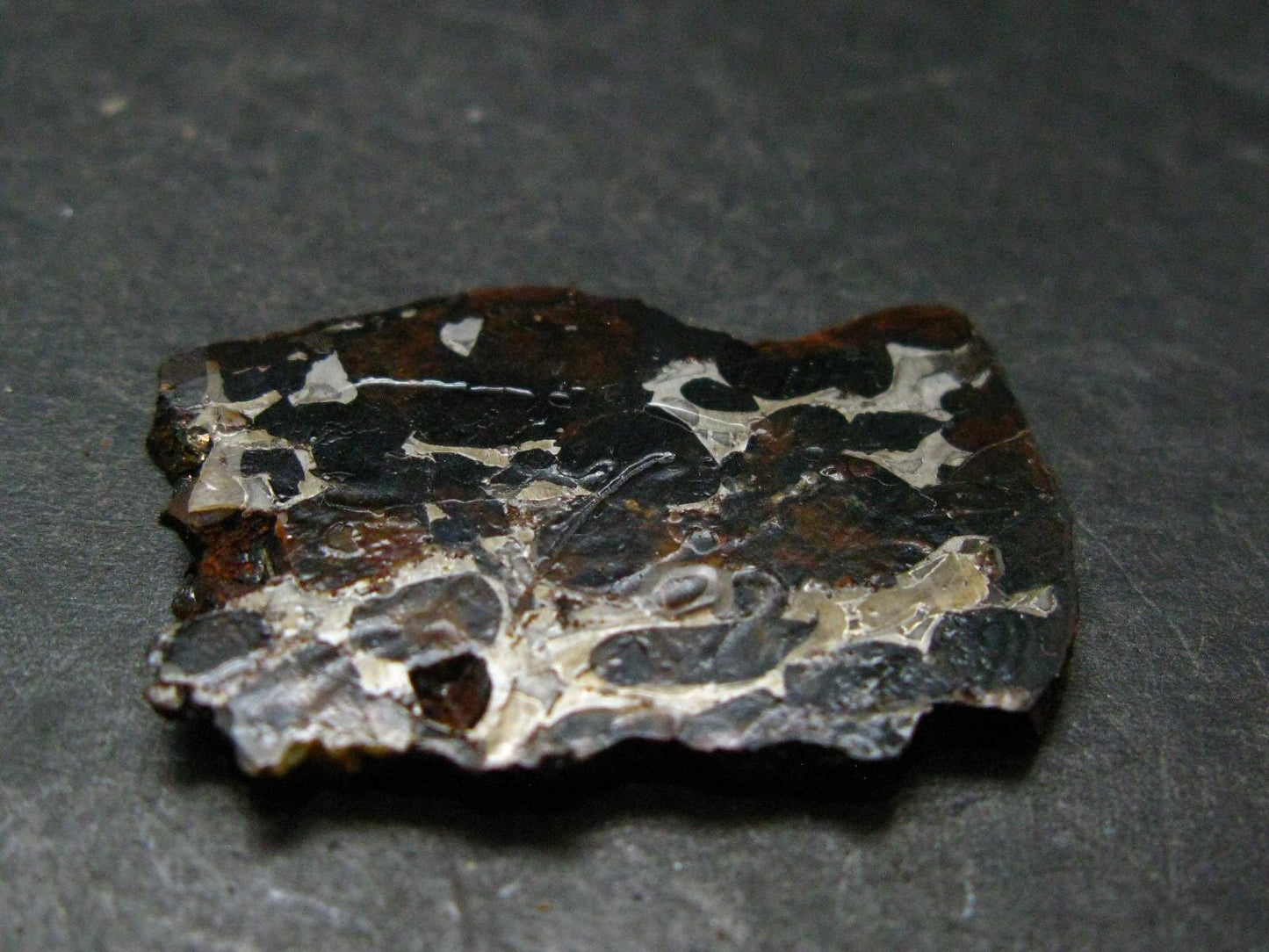 Large Sericho Meteorite Pallasite Olivine Slice From Kenya - 1.4" - 7.38 Grams