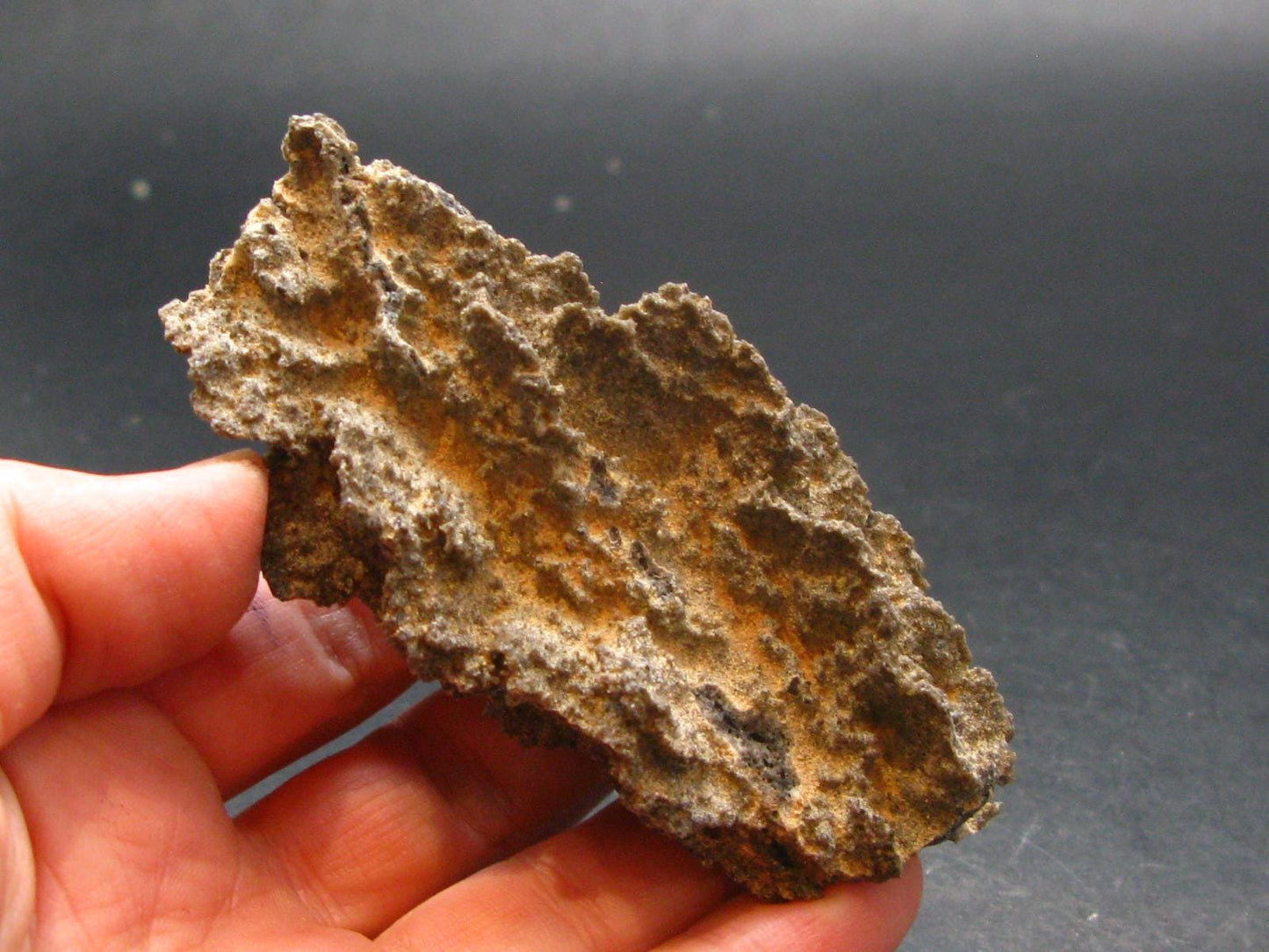 Large Fulgurite Lightning Rock From Sahara Desert - 3.2"