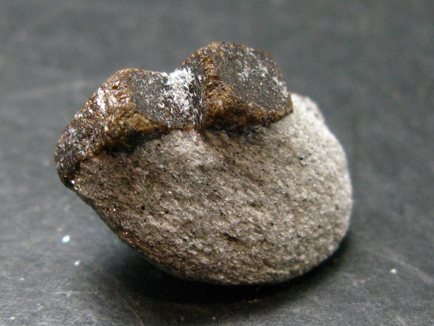 A Perfect Staurolite Crystal on Matrix from Russia - 0.9" - 7.88 Grams