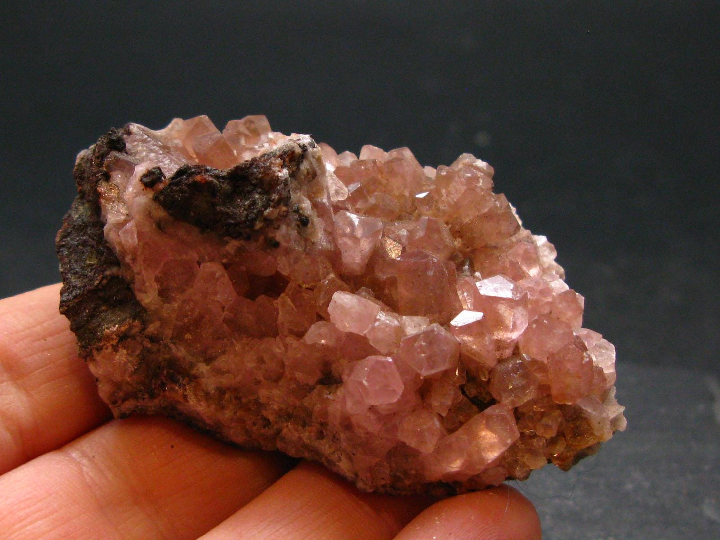 Cobaltocalcite Cobalto Calcite Cluster From Morocco - 2.3"