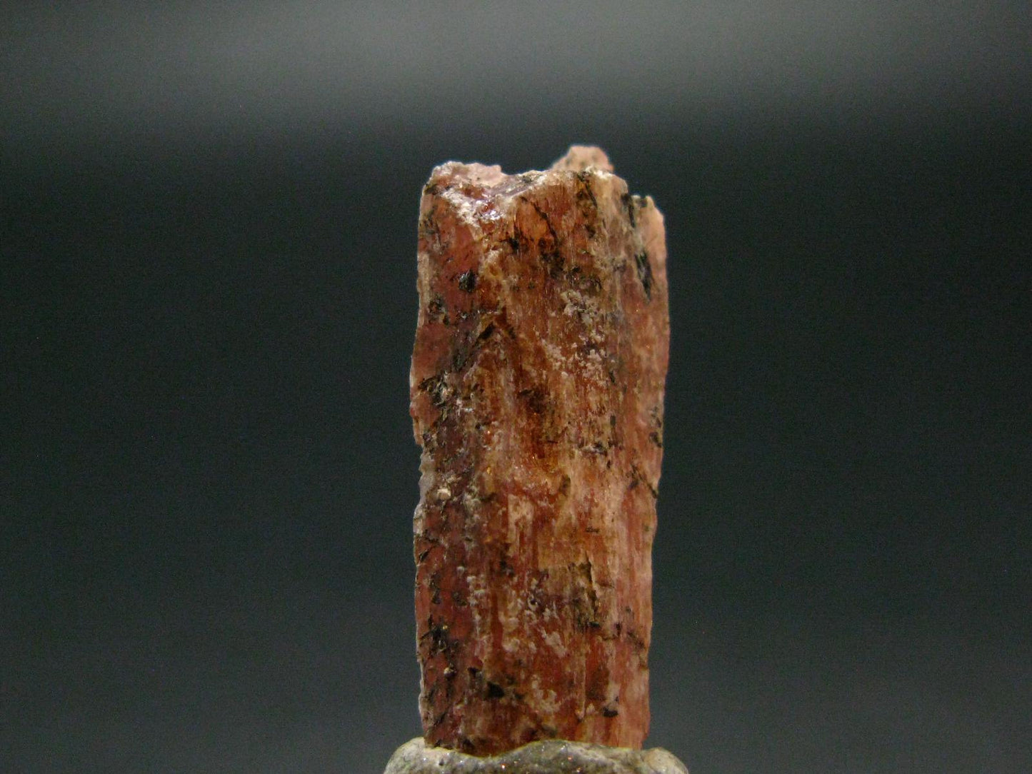 Serandite Fine Crystal From Canada - 1.0" - 3.34 Grams