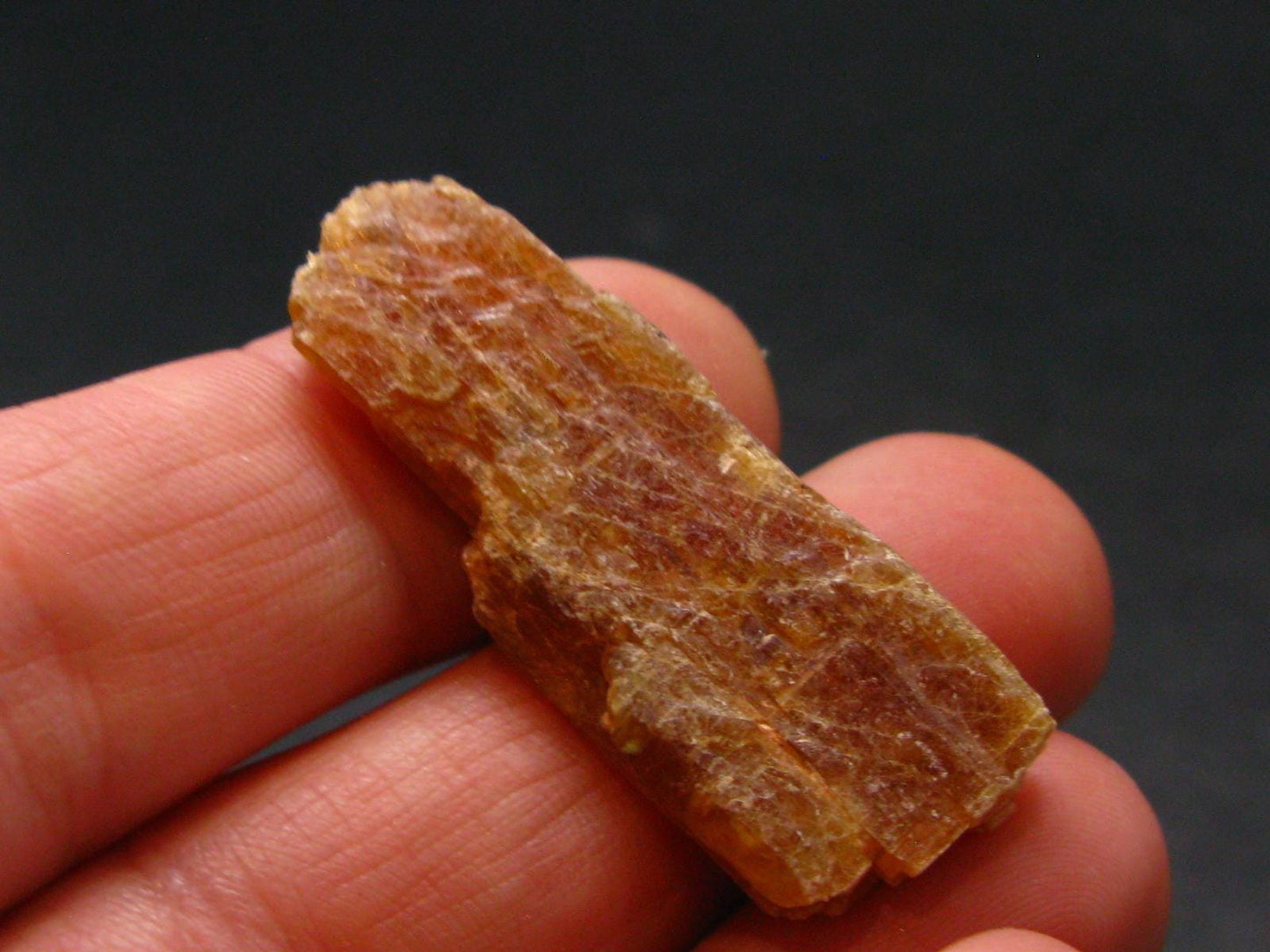 Rare Orange Kyanite Crystal From Tanzania - 1.4" - 5.4 Grams