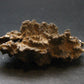 Large Fulgurite Lightning Rock From Sahara Desert - 3.1"