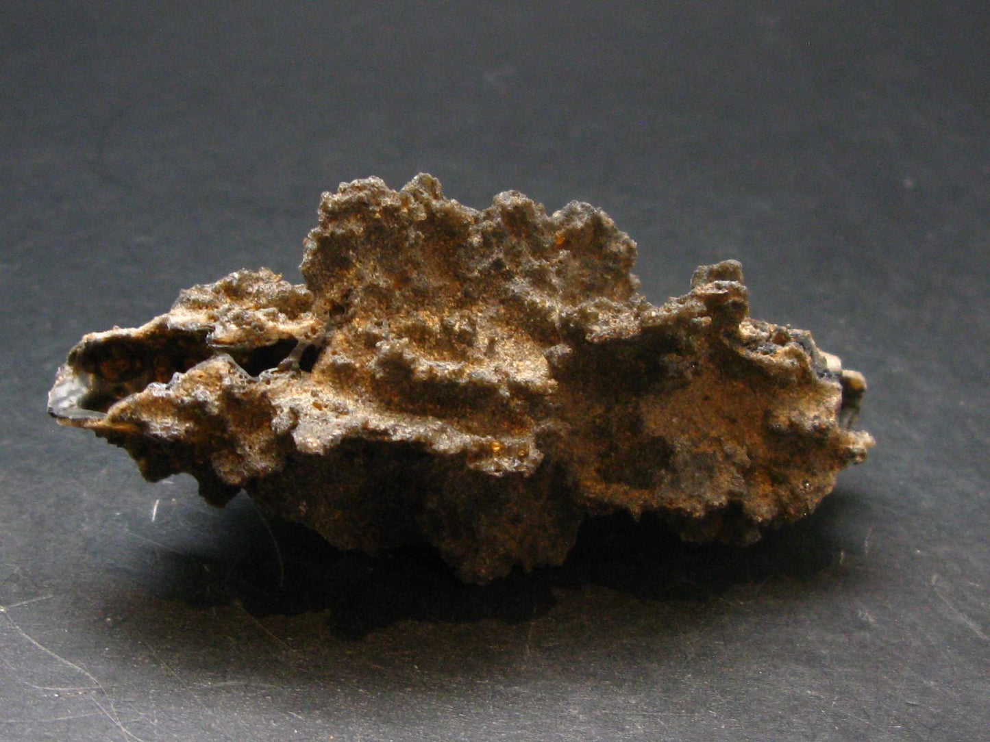 Large Fulgurite Lightning Rock From Sahara Desert - 3.1"