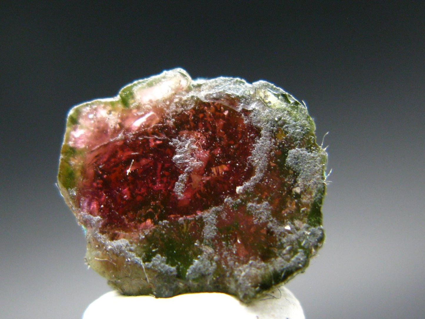 Rare Watermelon Tourmaline Crystal Slice From Brazil - 4.41 Carats