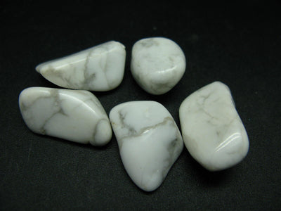 Lot of 5 genuine white Howlite tumbled stones from Mexico