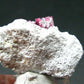 Rare Gem Bixbite Red Emerald Beryl Cluster From Utah USA - 1.3" - 5.61 Grams