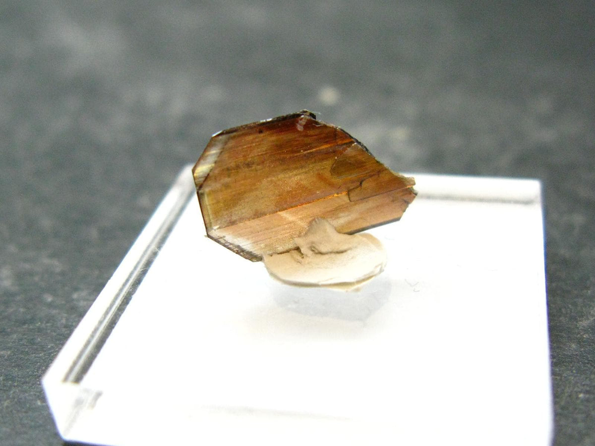 Large Brookite Crystal From Pakistan - 0.20 Grams - 13 mm
