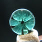 Beautiful Rare Gem Trapiche Emerald From Colombia - 1.97 Carats - 8x7.5mm