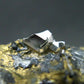 Sperrylite Crystals On Matrix From Norilsk Russia - 2.5" - 15+ Crystals